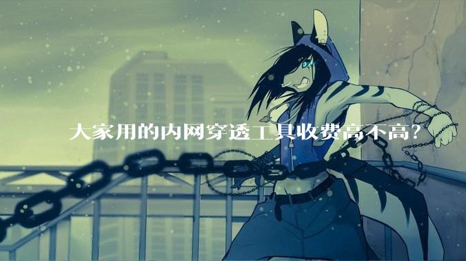 大家用的内网穿透工具收费高不高？