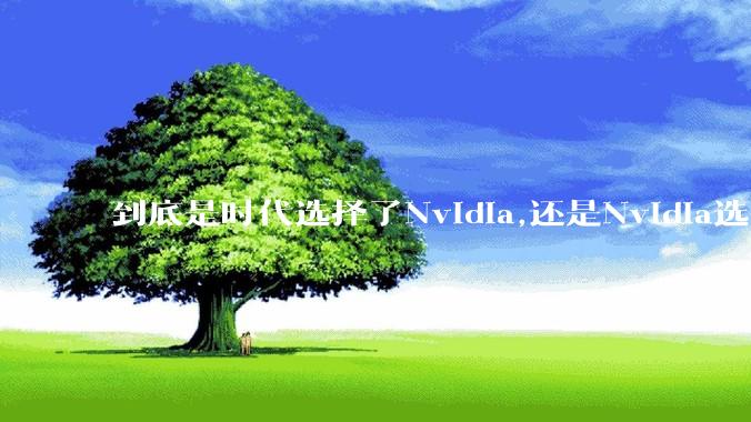 到底是时代选择了Nvidia,还是Nvidia选择了时代？